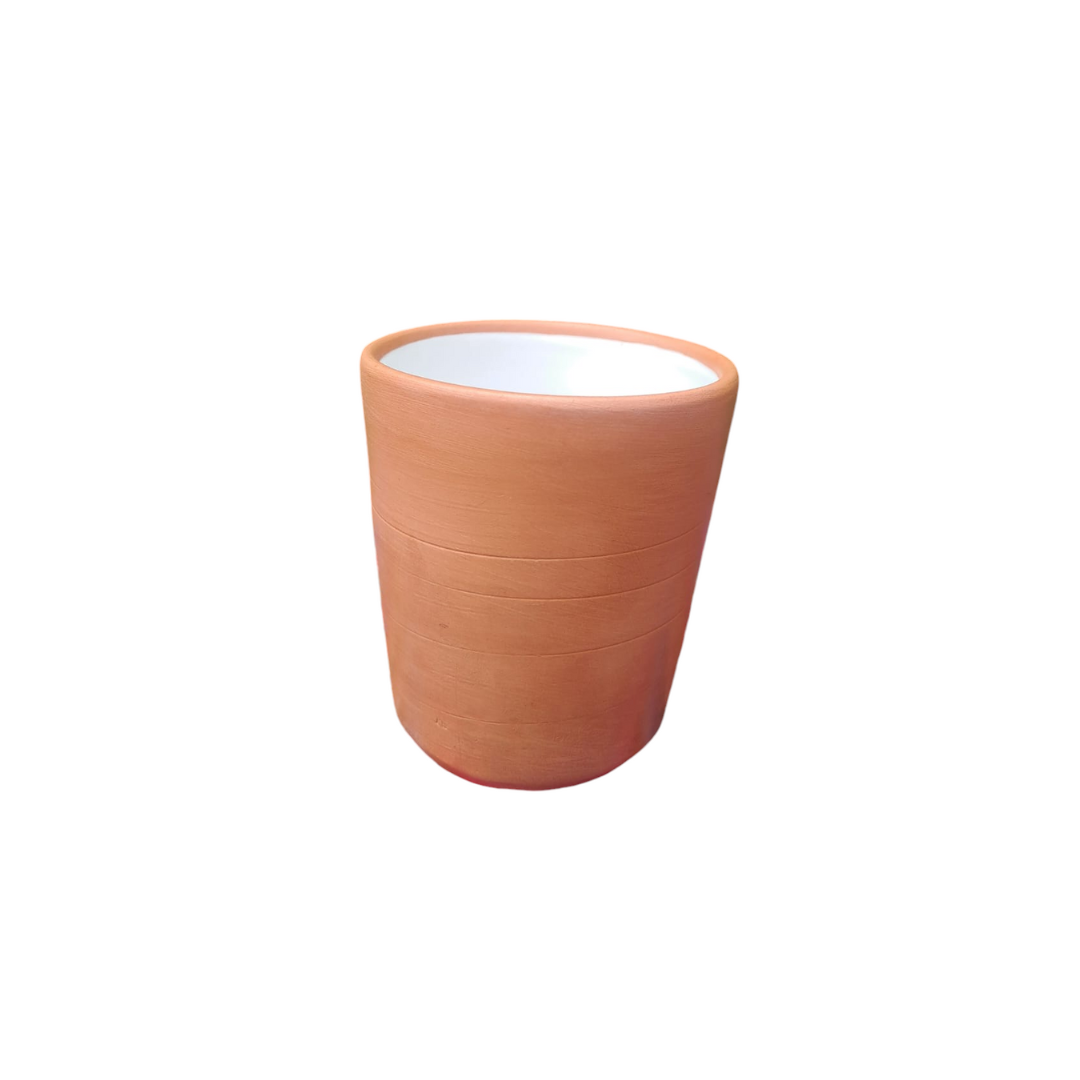 Vaso Recto